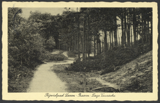 16916 Gezicht op het fietspad van Laren naar Baarn door de bossen bij Lage Vuursche.